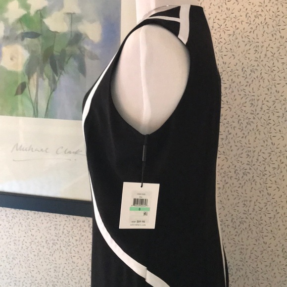 Ladies Sleeveless Dress - Picture 4 of 8